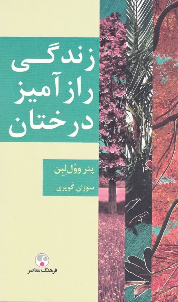 زندگی رازآمیز درختان