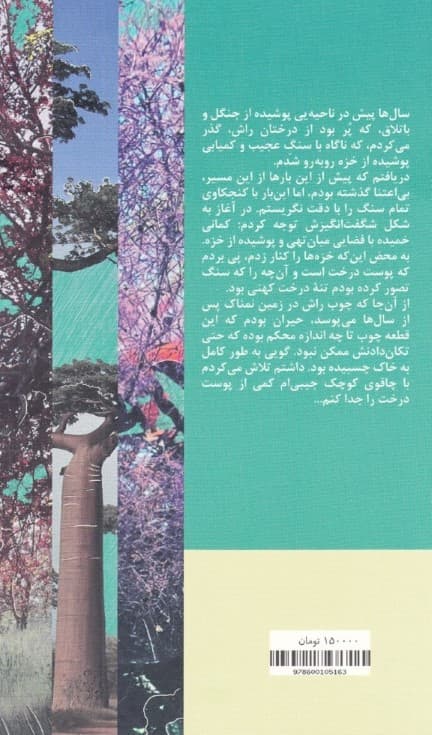 زندگی رازآمیز درختان