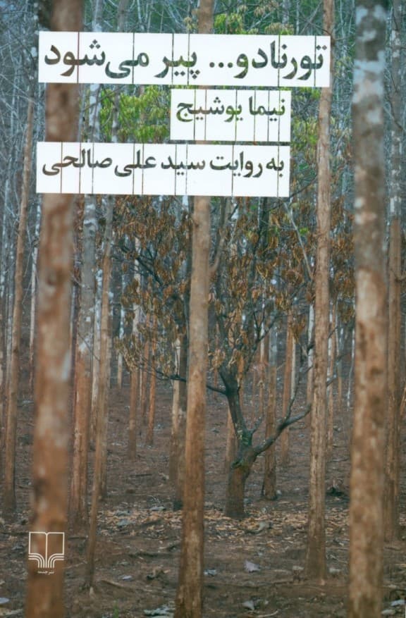 تورنادو پیر میشود (نیما یوشیج به روایت سیدعلی صالحی) مجموعه داستان