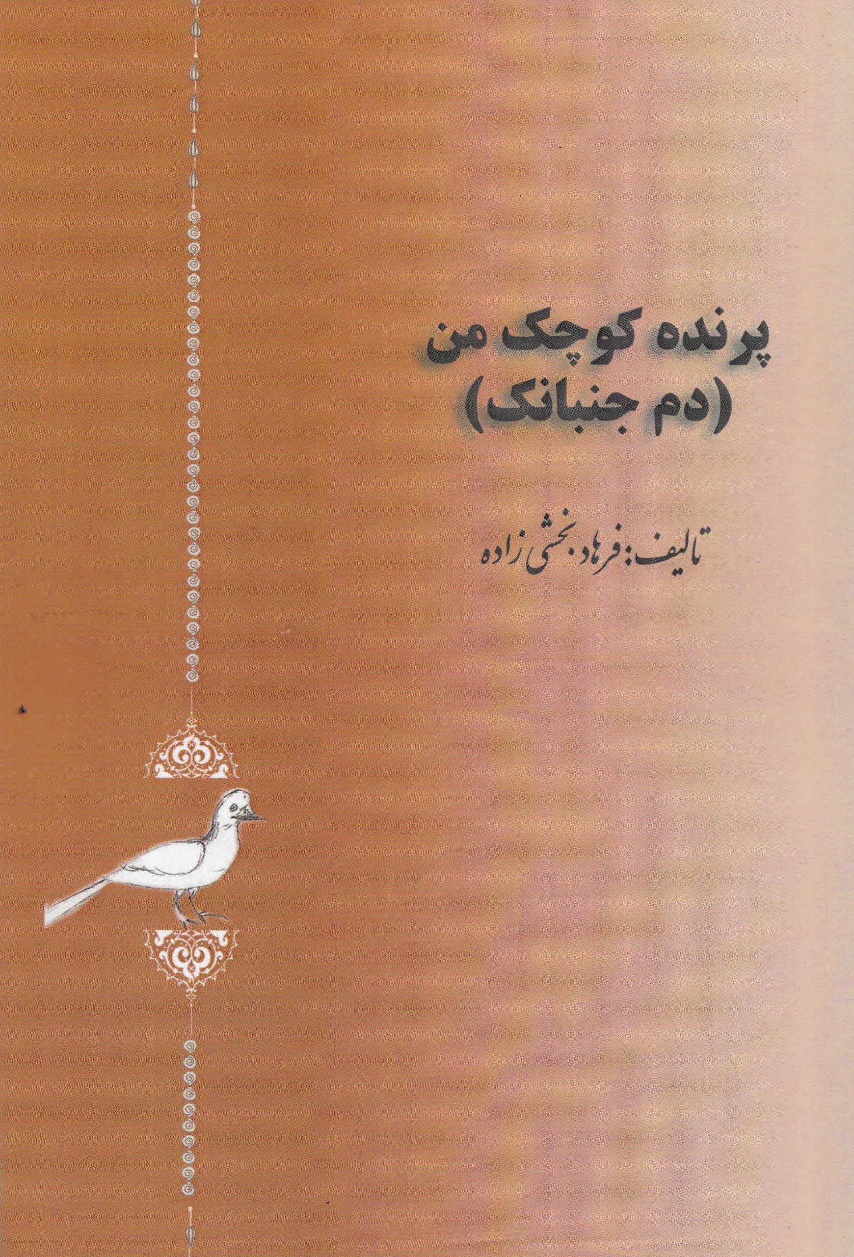 پرنده کوچک من (دم جنبانک)