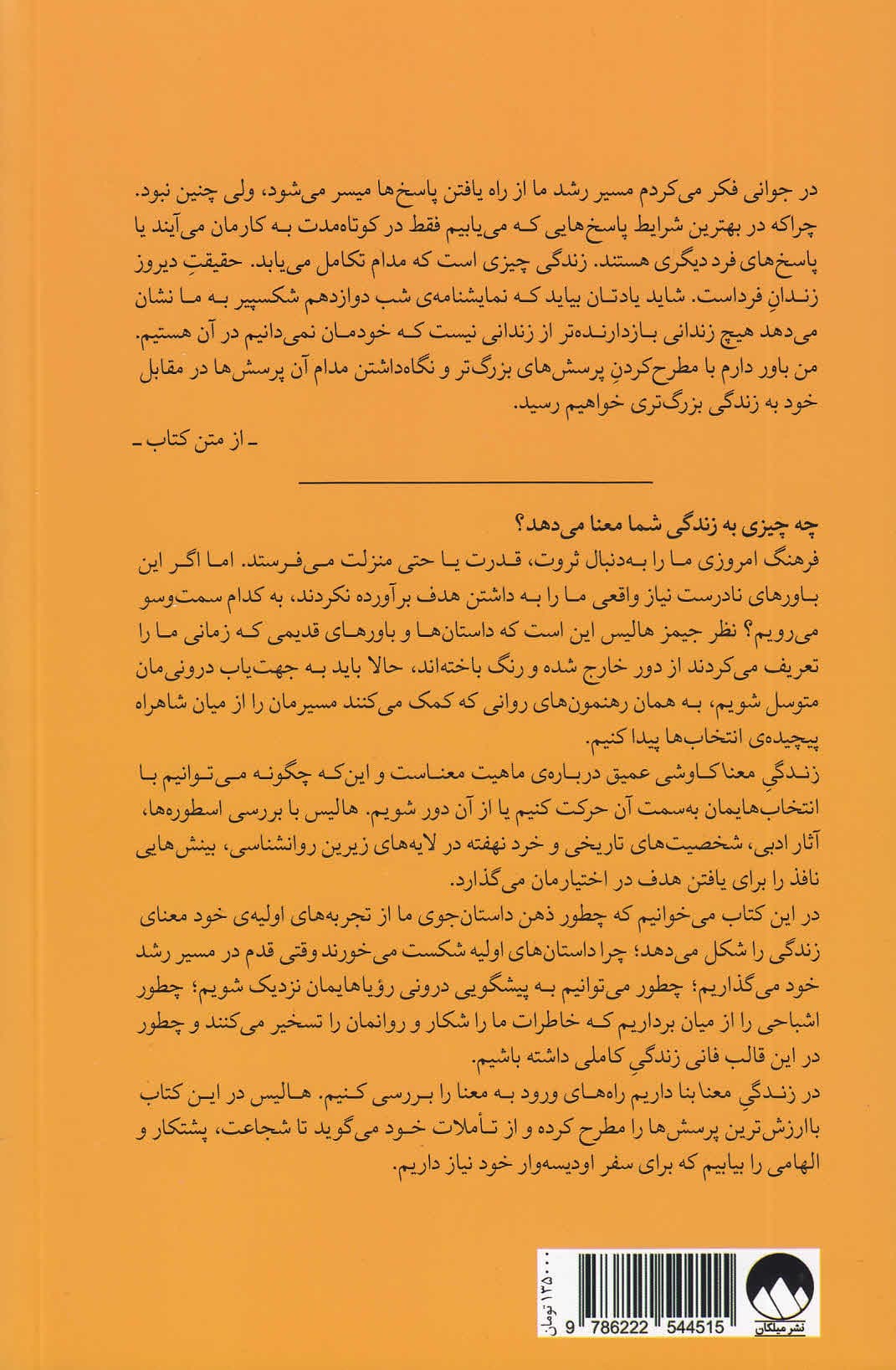 زندگی معنا (بررسی عمیقترین پرسشها و انگیزهها در زندگی)