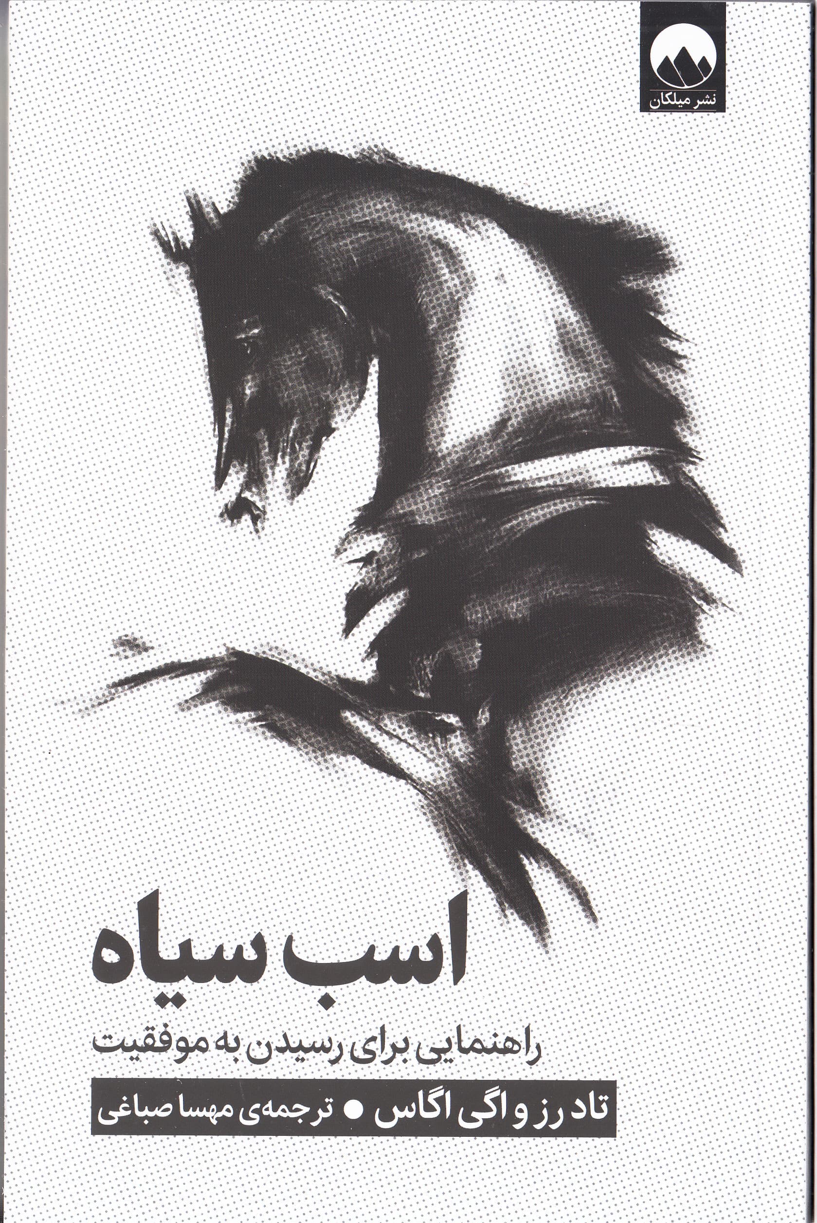 اسب سیاه (راهنمایی برای رسیدن به موفقیت)