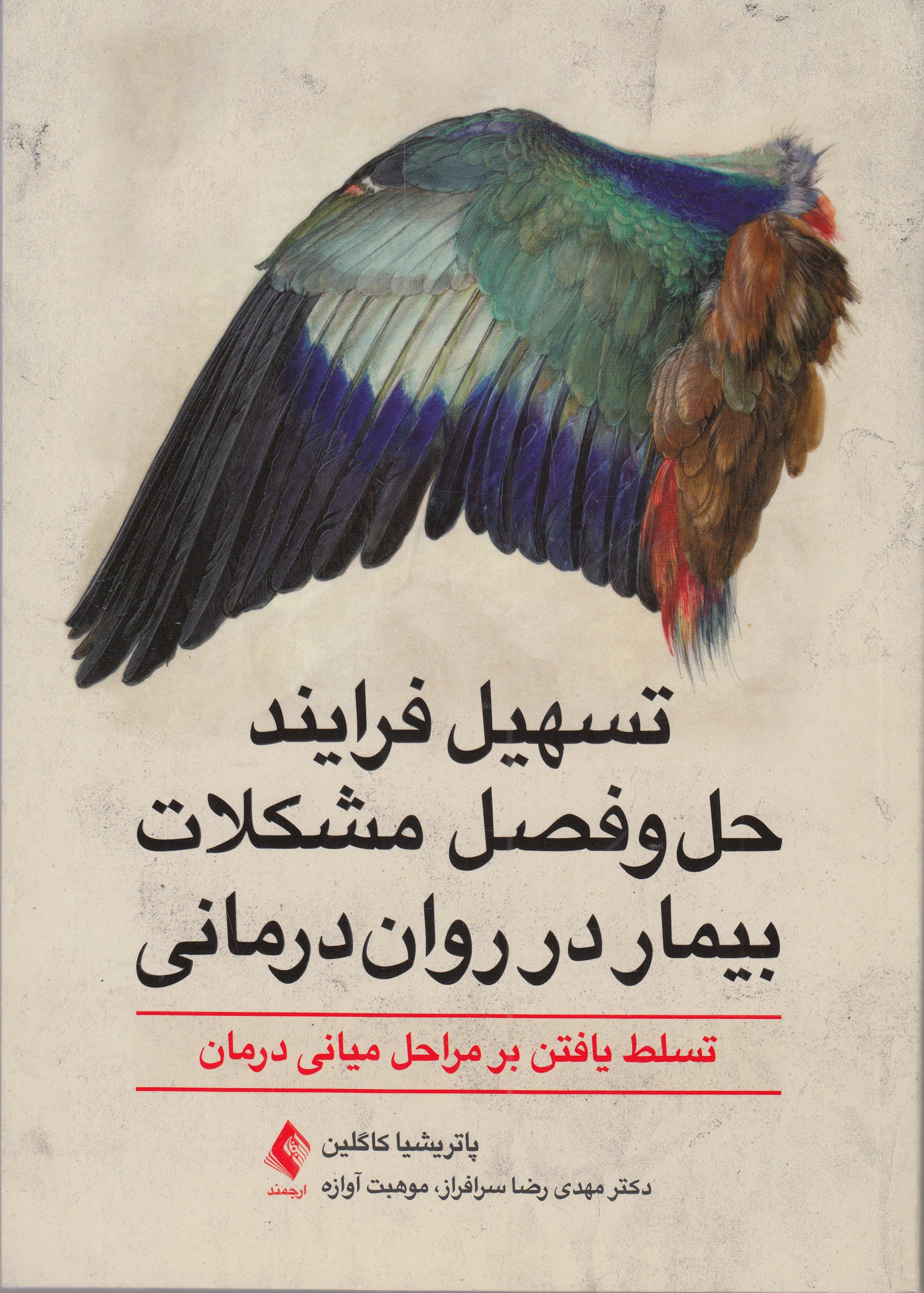 تسهیل فرایند حل و فصل مشکلات بیمار در رواندرمانی (تسلط یافتن بر مراحل میانی درمان)