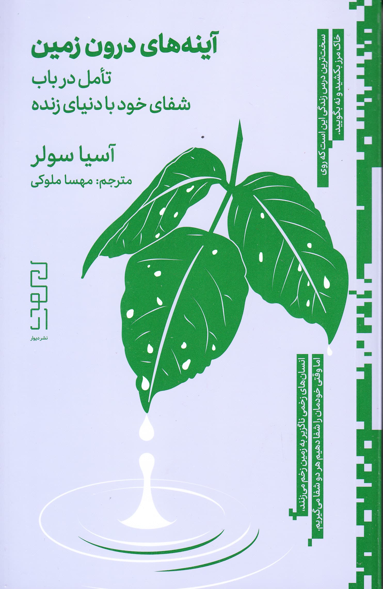 آینههای درون زمین (تامل در باب شفای خود با دنیای زنده)