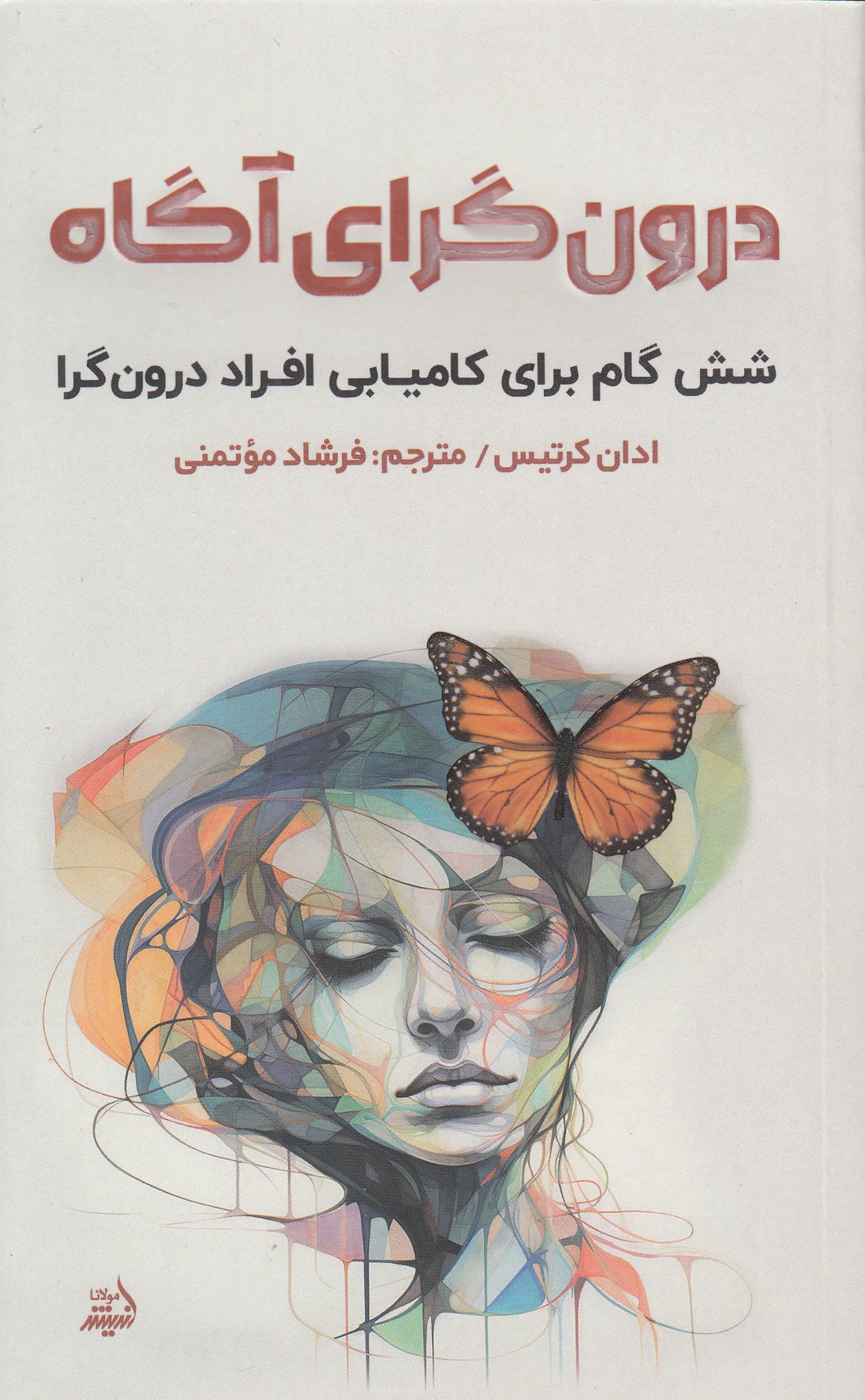 درونگرای آگاه (6 گام برای کامیابی افراد درونگرا)