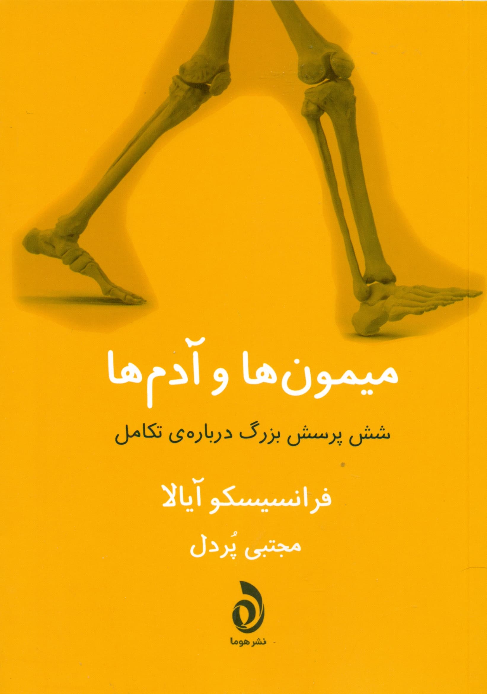 میمونها و آدمها (6 پرسش بزرگ درباره تکامل)