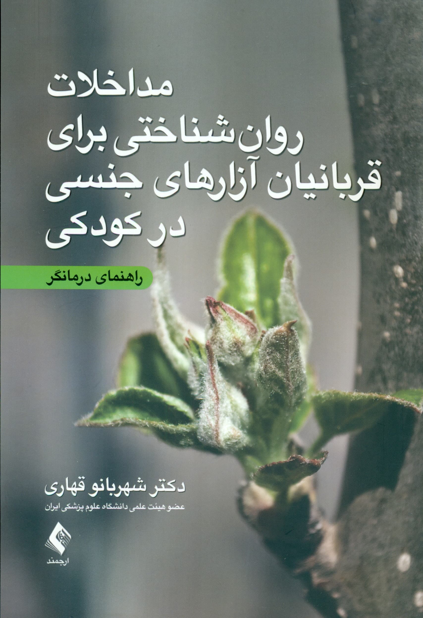 مداخلات روانشناختی برای قربانیان آزارهای جنسی در کودکی (راهنمای درمانگر)