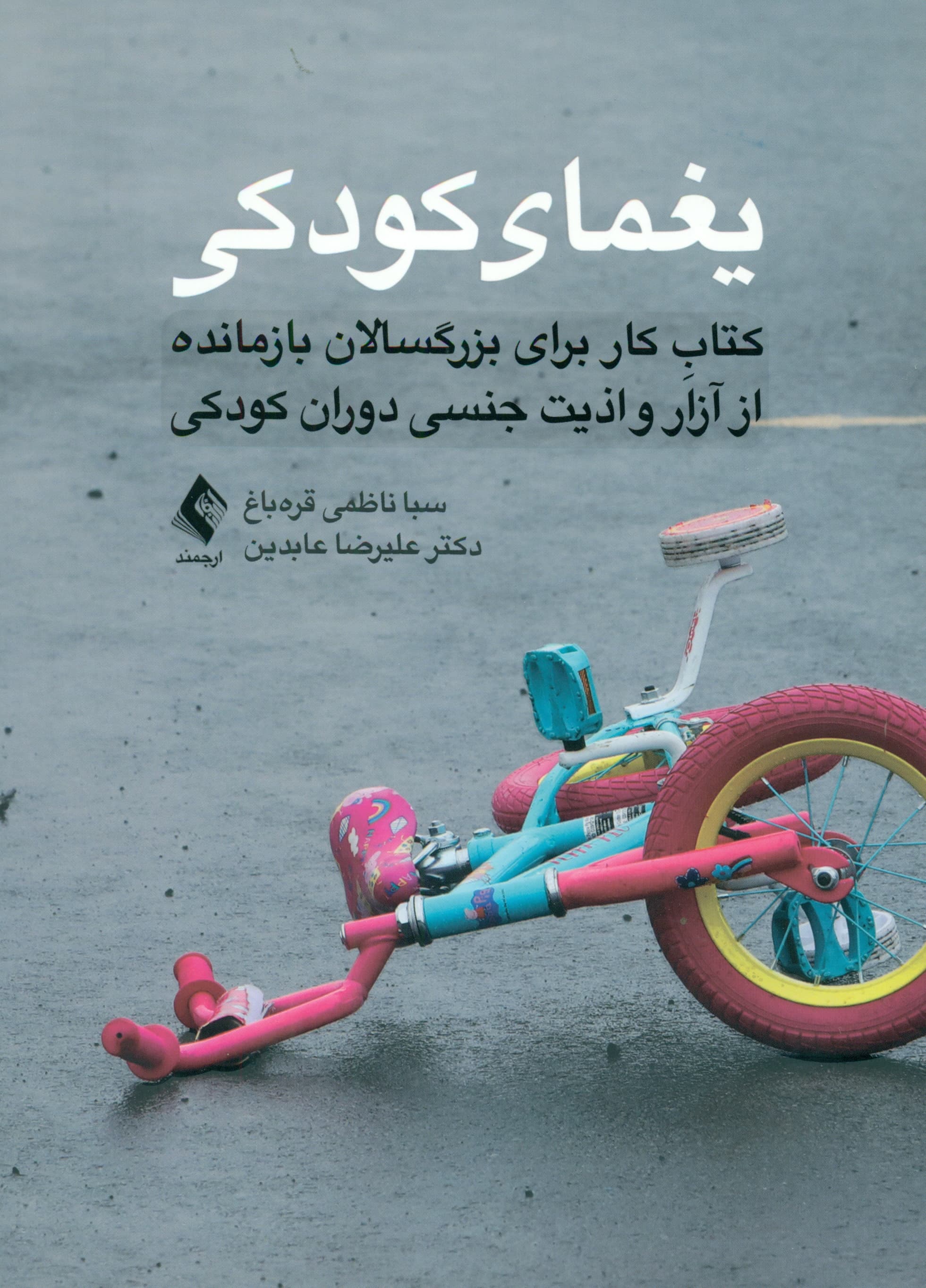 یغمای کودکی (کتاب کار برای بزرگسالان بازمانده از آزار و اذیت جنسی دوران کودکی)