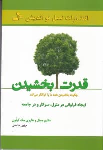 قدرت بخشیدن (چگونه بخشیدن همه ما را توانگر میکند ایجاد فراوانی در منزل سر کار و در جامعه)