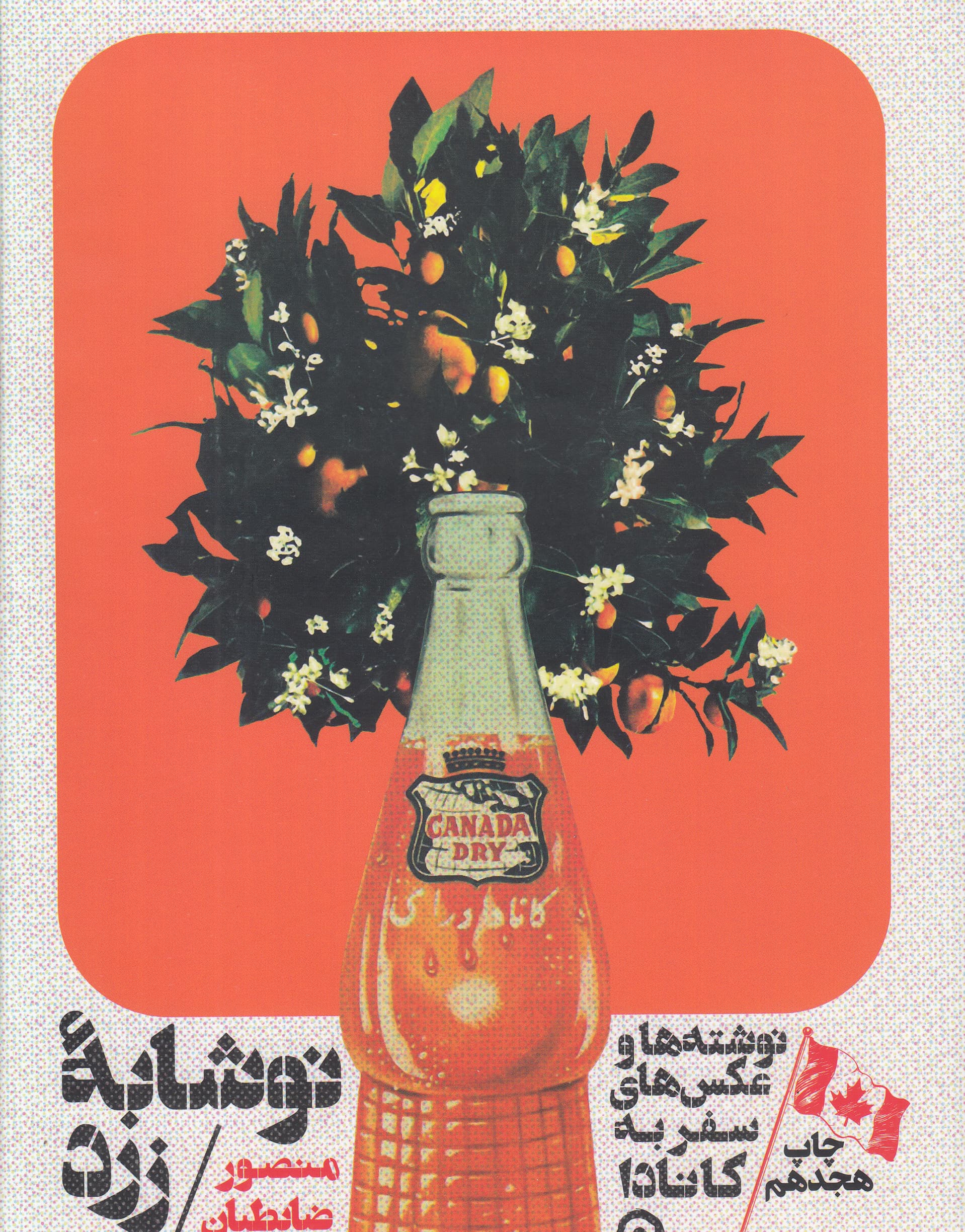 کانادا نوشابه زرد (گالینگور)