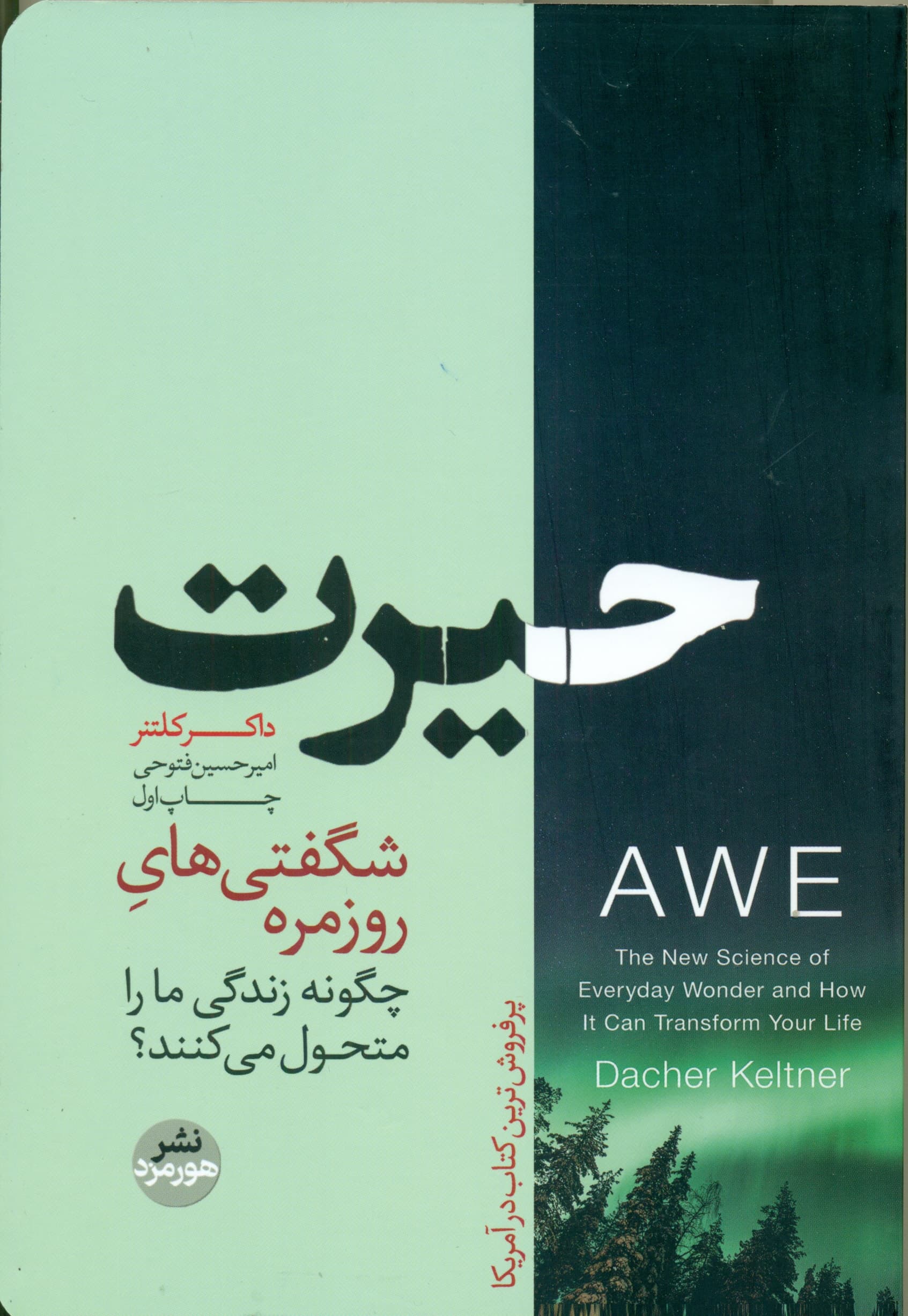 حیرت (قدرت تحولآفرین شگفتیهای روزمره)