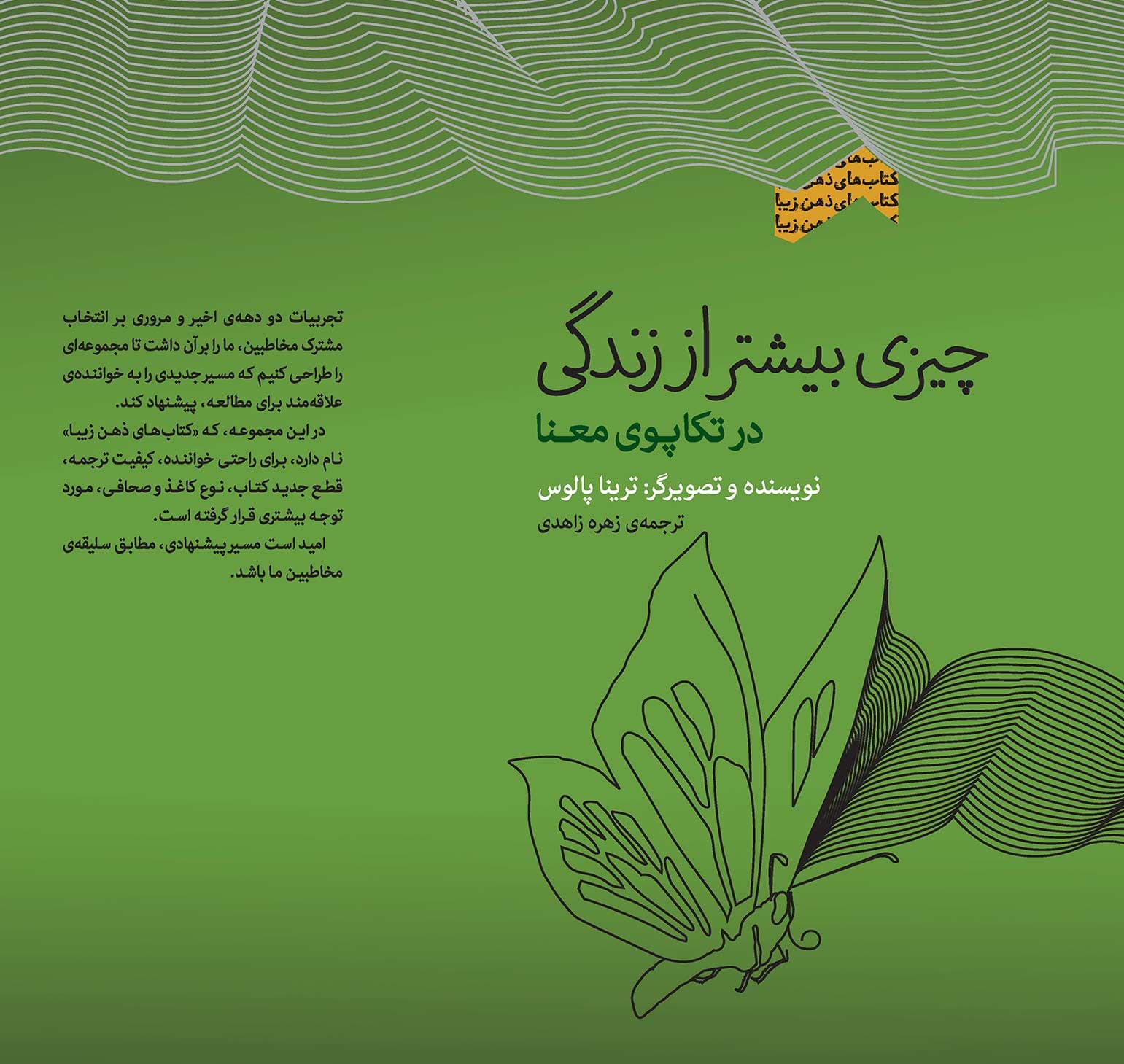 چیزی بیشتر از زندگی (در تکاپوی معنا) مجموعه ذهن زیبا