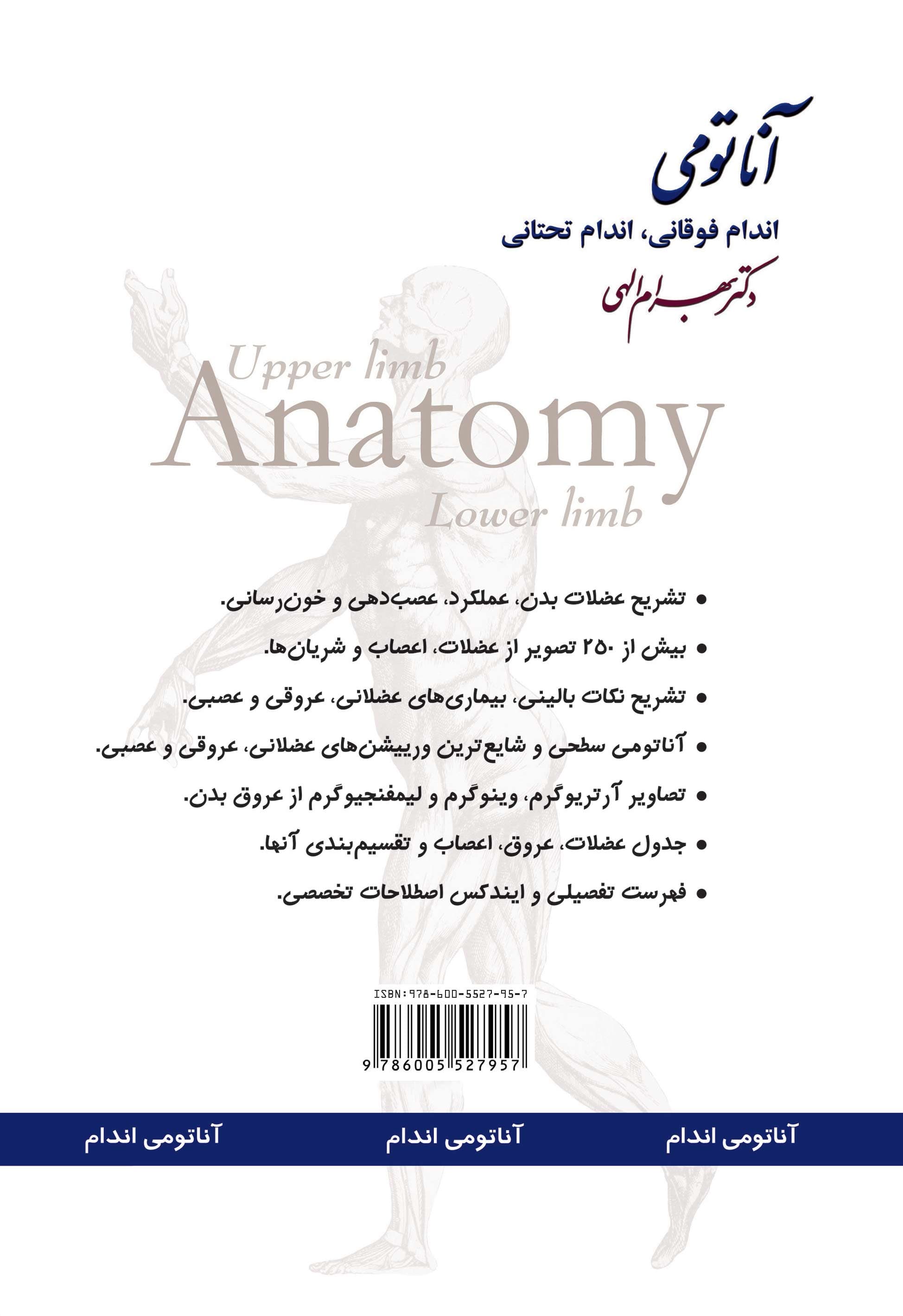 آناتومی (اندام فوقانی اندام تحتانی)