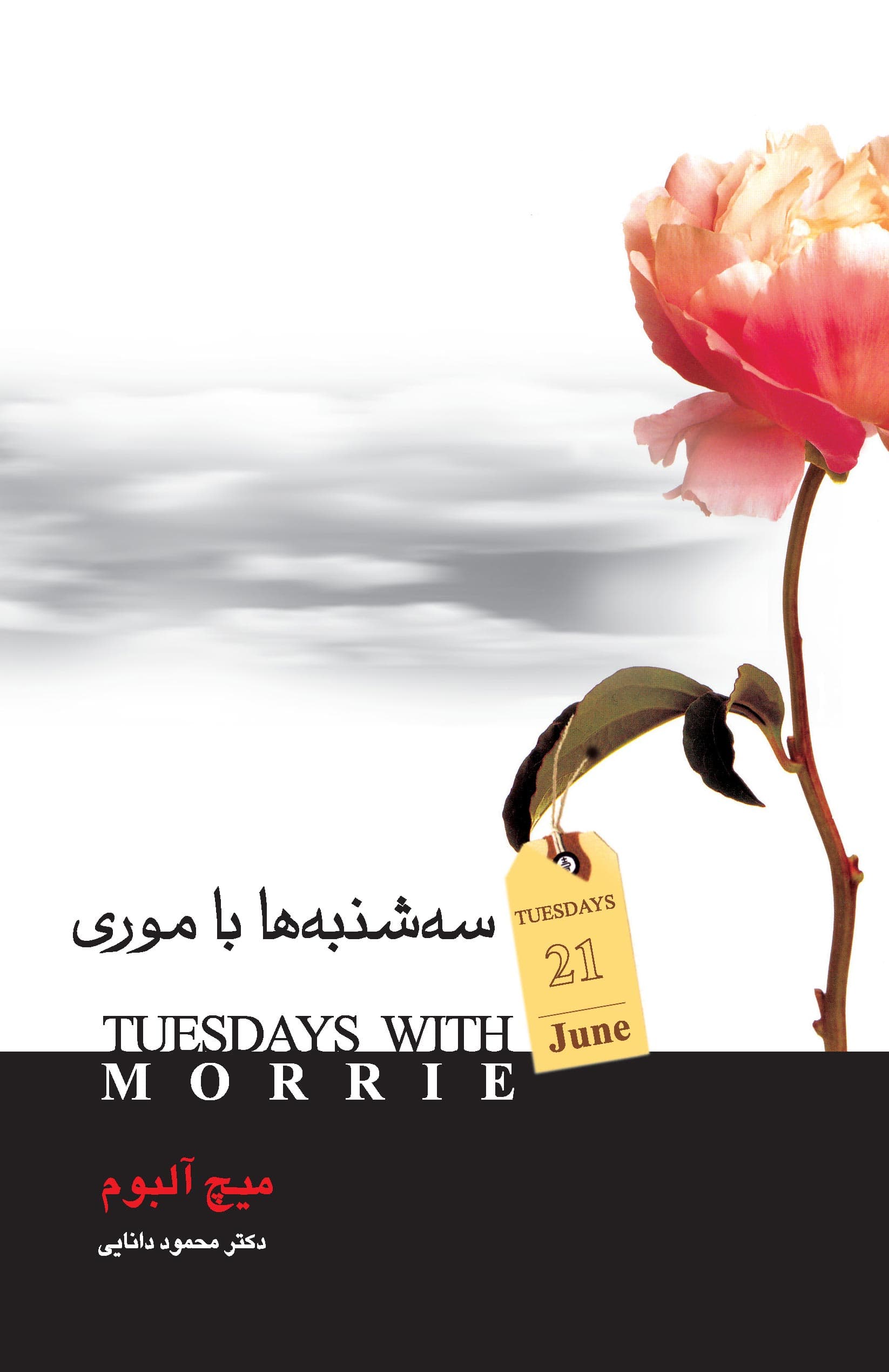 سهشنبهها با موری