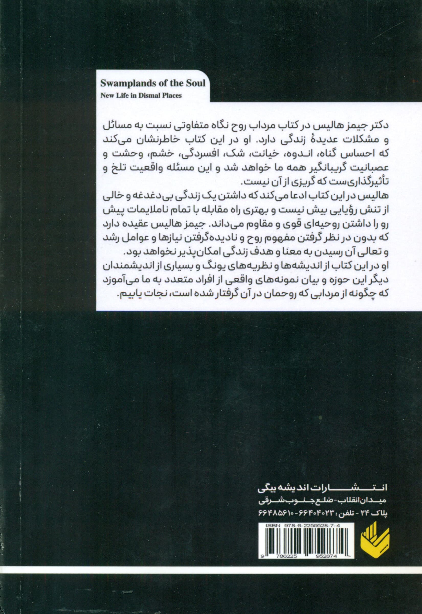 مرداب روح (زندگی جدید در مکانهای غمانگیز)