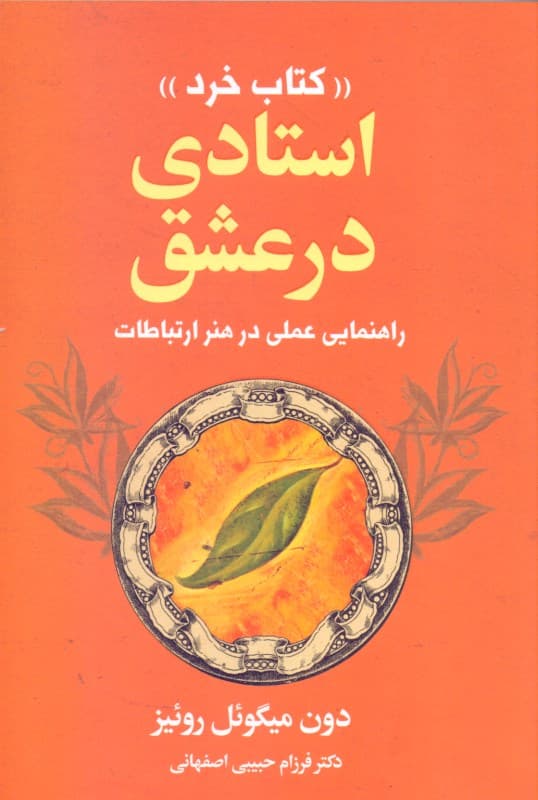 استادی در عشق (کتاب خرد)
