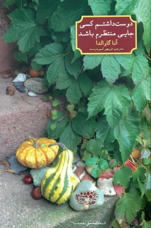 دوست داشتم کسی جایی منتظرم باشد (مجموعه داستان)