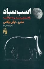 اسب سیاه (راهنمایی رسیدن به موفقیت)