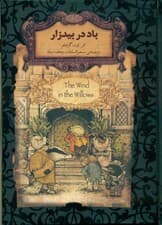 باد در بیدزار (جیبی)