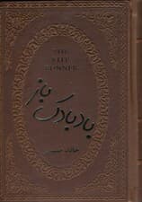 بادبادکباز (چرمی)