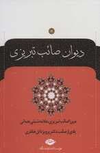 دیوان صائب تبریزی (2جلدی)