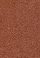 برادران کارامازوف (چرم)