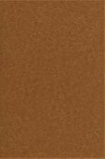 دیوان حافظ شیرازی،همراه با فالنامه (گلاسه،ترمو،پلاک دار،لیزری،باقاب)