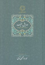 درویش ستیهنده:از میراث عرفانی شیخ جام