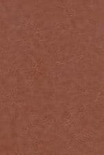 دیوان حافظ امیرخانی (2زبانه،گلاسه،چرم،لیزری،باقاب)