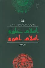 اسلام علوی اسلام اموی (پژوهشی در باب علل و انگیزه های نهضت عاشورا)