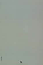 ادوار شعر فارسی (از مشروطیت تا سقوط سلطنت)