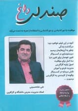 صندلی داغ شاهحسینی (کتاب گویا)