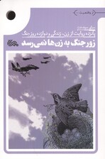 زور جنگ به زن ها نمی رسد (پانزده روایت از زن،زندگی و دوازده روز جنگ)