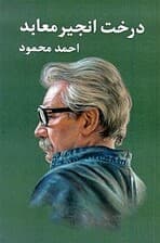 درخت انجیر معابد 2 (2 جلدی) شومیز