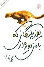 یوزپلنگانی که با من دویدهاند (مجموعه داستان)