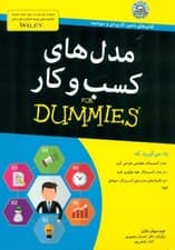 مدلهای کسب و کار برای دامیز