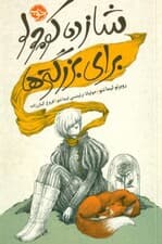 شازده کوچولو برای بزرگترها