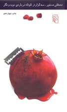 3 گزارش کوتاه درباره نوید و نگار (پالتویی)