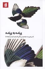 پرنده به پرنده (درسهایی چند درباره نوشتن و زندگی)