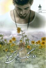 2 سنگ یکی کهربا 2 (2 جلدی)