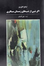 اگر شبی از شبهای زمستان مسافری