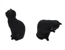 غشگیر کتاب طرح گربه