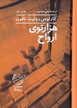 هزارتوی ارواح 1 (2 جلدی) مجموعه گورستان کتابهای فراموش شده 4