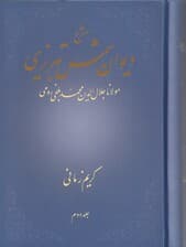 شرح دیوان شمس تبریزی مولانا جلالالدین محمد بلخی رومی (جلد 2)
