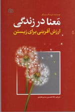 معنا در زندگی (ارزشآفرینی)