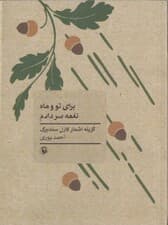 برای تو و ماه نغمه سر دادم (گزیده اشعار کارل سندبرگ) جیبی