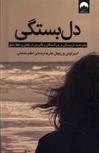 دلبستگی (علم جدید دلبستگی در بزرگسالان و تاثیرش در یافتن و حفظ عشق)